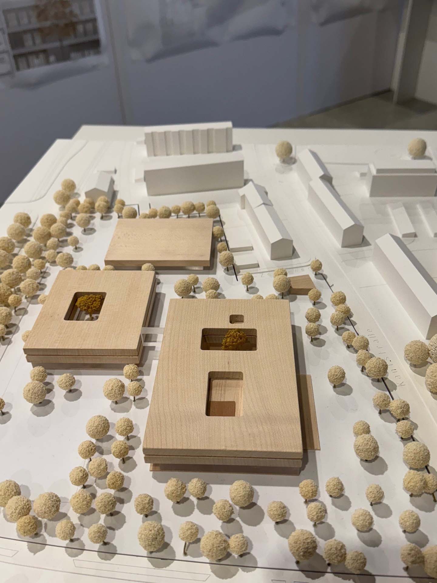 Preisverleihung Dientzenhofergymnaisum Modell – Nickel und Wachter Architekten Bamberg